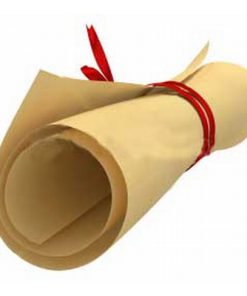 Parchemin véritable cuir