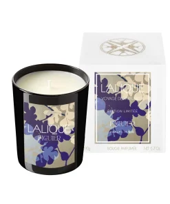 Bougie parfumée Figuier Amalfi Italie Lalique