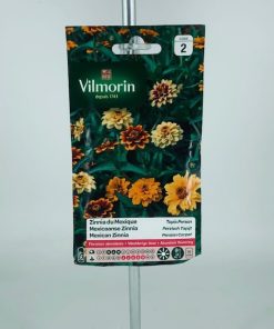 Zinnia du Mexique – Graines Vilmorin